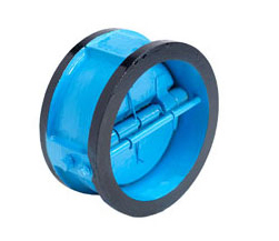 Dual Plate Check Valve - Pelican Valves