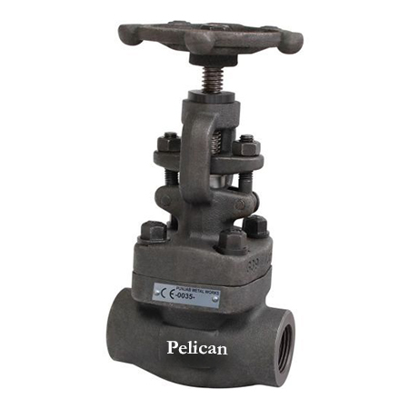 Forged Steel Globe Valve Manufacturer & Supplier