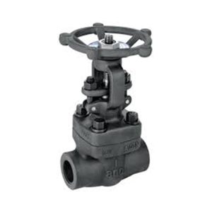 Forged Steel Valves Manufacturer & Supplier